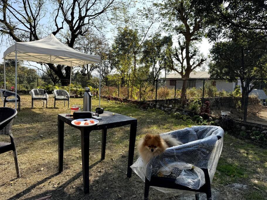 Salanville, 2br Pet-friendly Farm 5km To Rajpur *